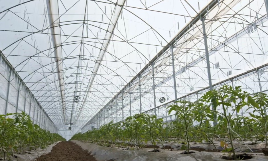 (video) Cum poate tehnologia să salveze agricultura din Moldova. Soluții inteligente pentru irigații în fața secetei