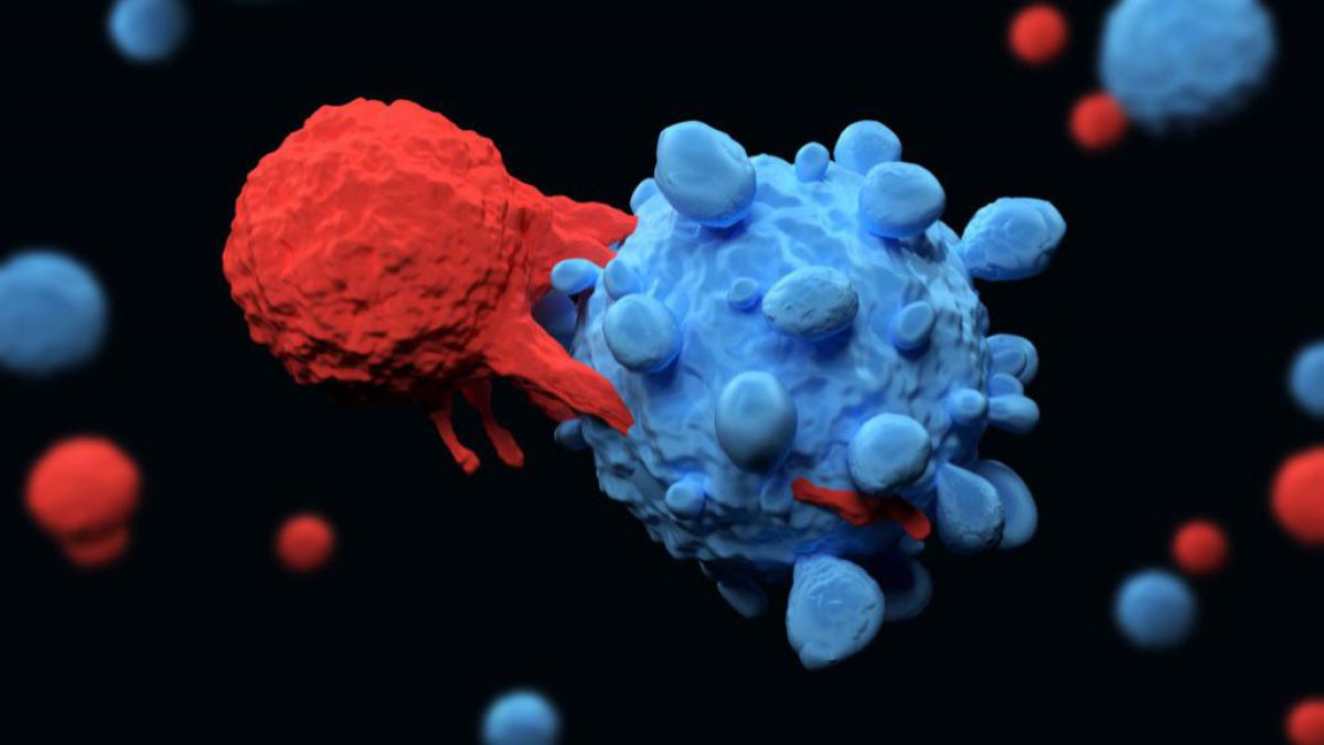 A-fost-descoperita-o-celula-care-ar-putea-sta-la-baza-unui-tratament-universal-impotriva-cancerului-66026-1579672338.jpg
