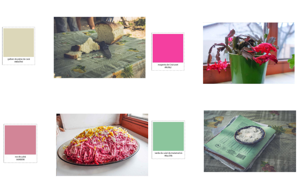 (foto) Galben de pâine de casă sau roz de șubă. Culorile pe care orice persoană din Moldova le va recunoaște