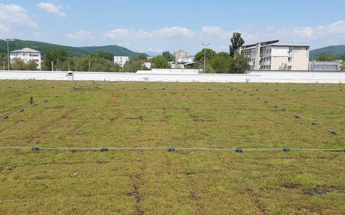 (P) Rolul acoperișurilor verzi în reducerea temperaturii din orașele mari