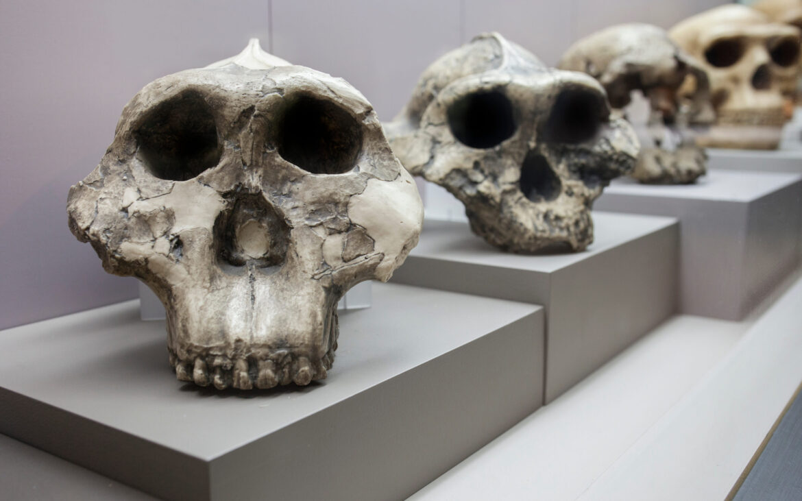 Neanderthalii și Sindromul Down: O revelație arheologică asupra îngrijirii oamenilor preistorici și importanța comunității
