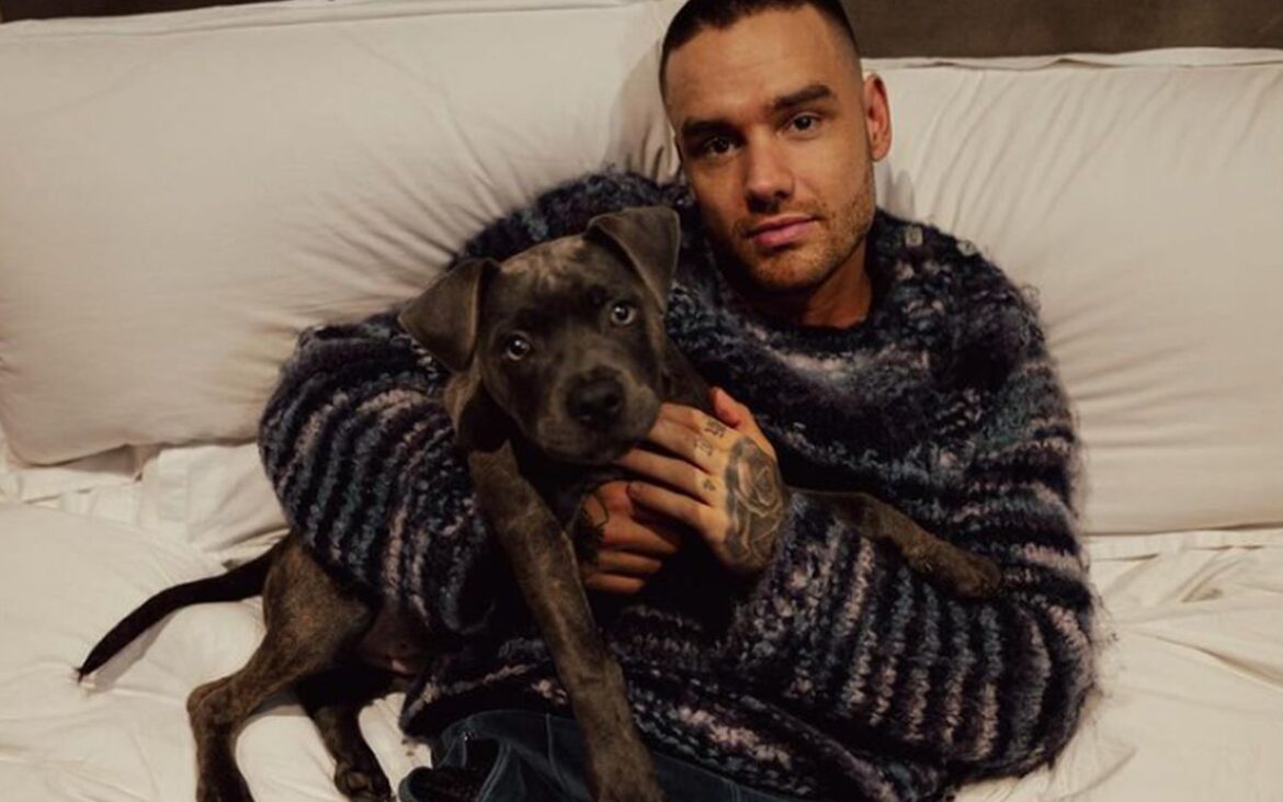 Doliu în lumea muzicii. Liam Payne a decedat la vârsta de 31 de ani! Ce a făcut în ultimele clipe de viață