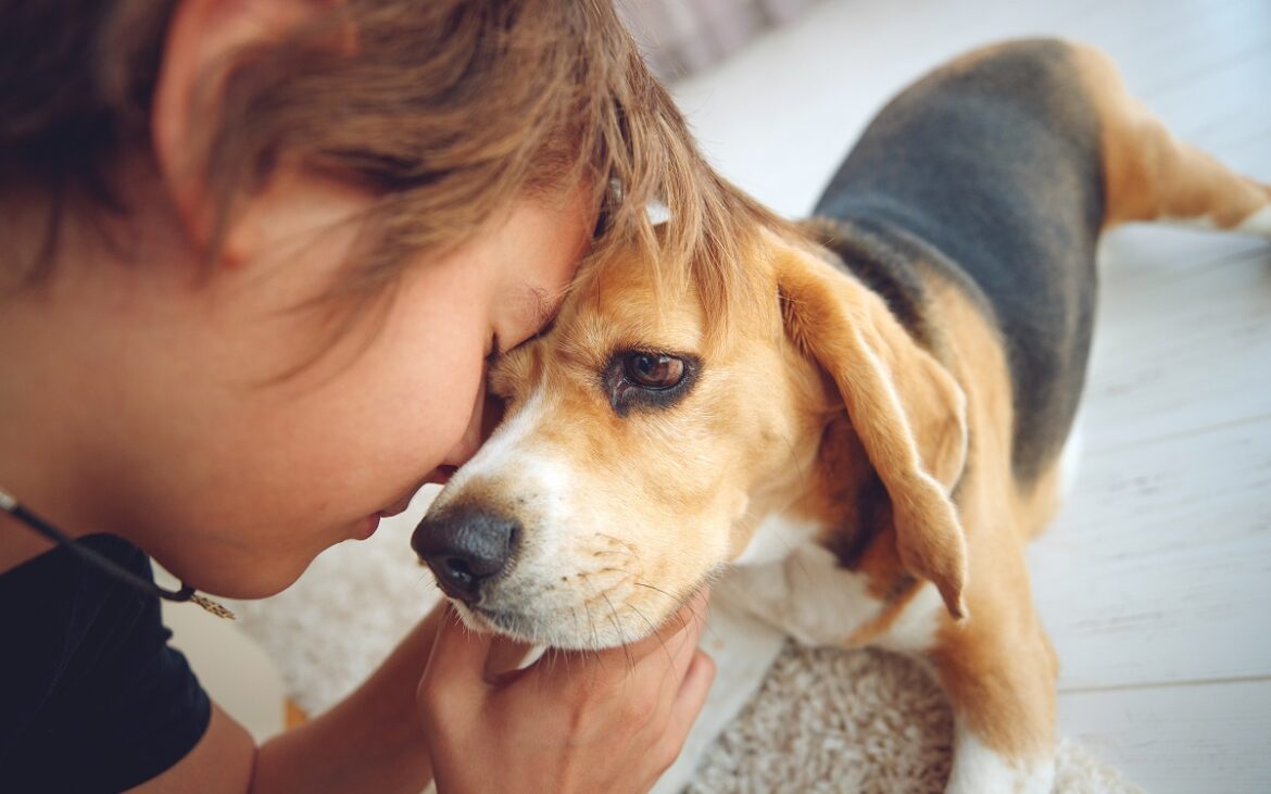 La ce temperatură nu ai voie să scoți câinele din casă. Cât de periculoasă e expunerea la frig pentru animale?