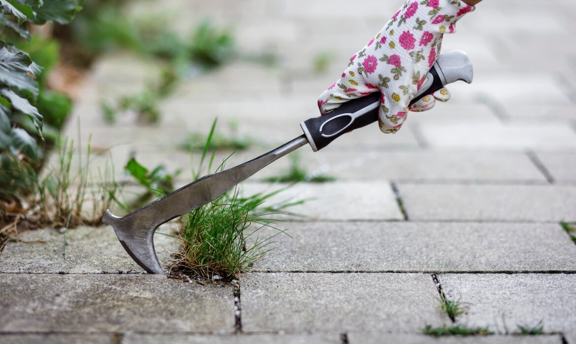 Cea mai simplă metodă de a elimina buruienile în mod natural, fără oțet sau sare