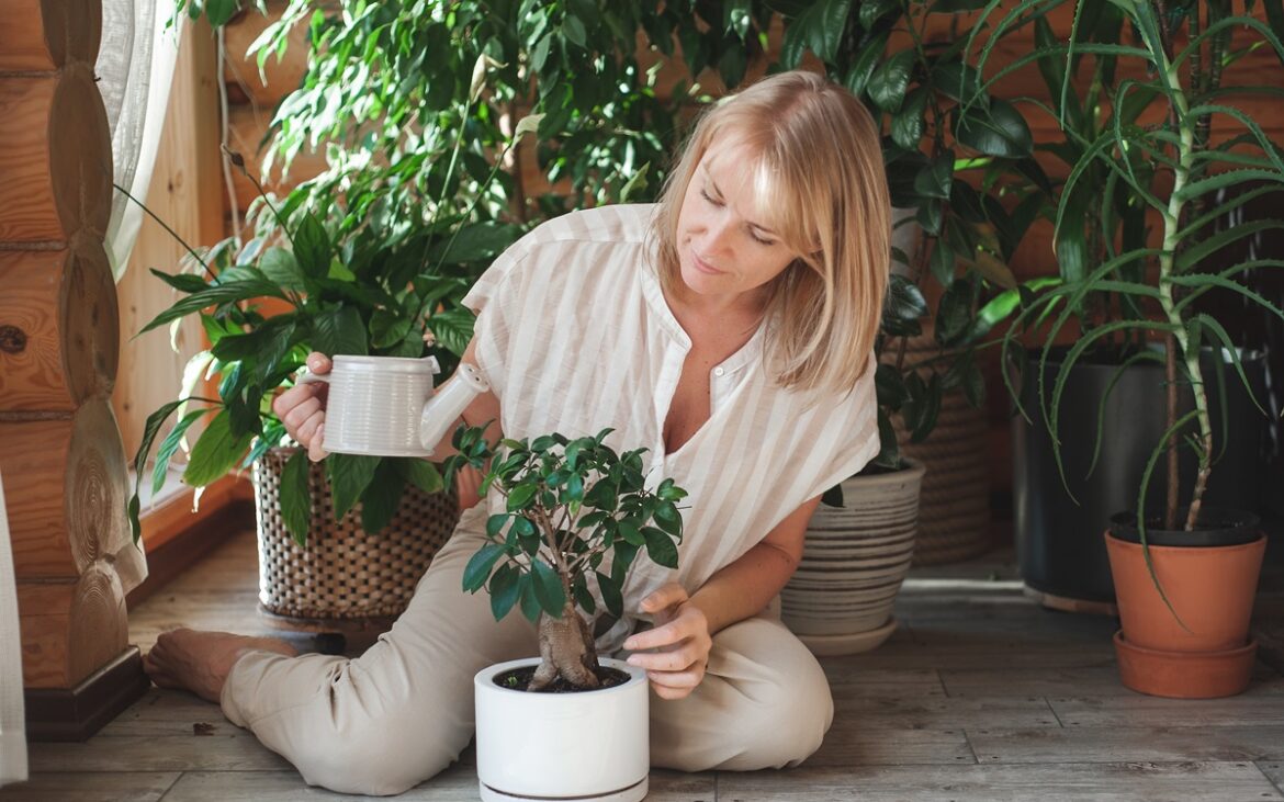 Cum poți avea grijă de plantele tale atunci când pleci în vacanță. Trucuri și sfaturi utile