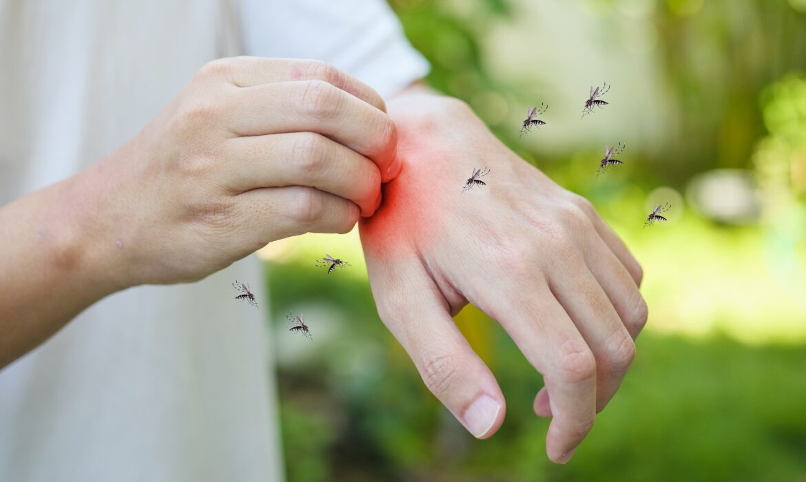 Plantele care te scapă de țânțari. Sunt mai bune decât orice spray