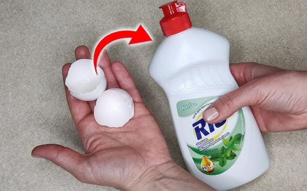Ce se întâmplă dacă amesteci coji de ouă cu detergent de vase. Rezultatul este surprinzător
