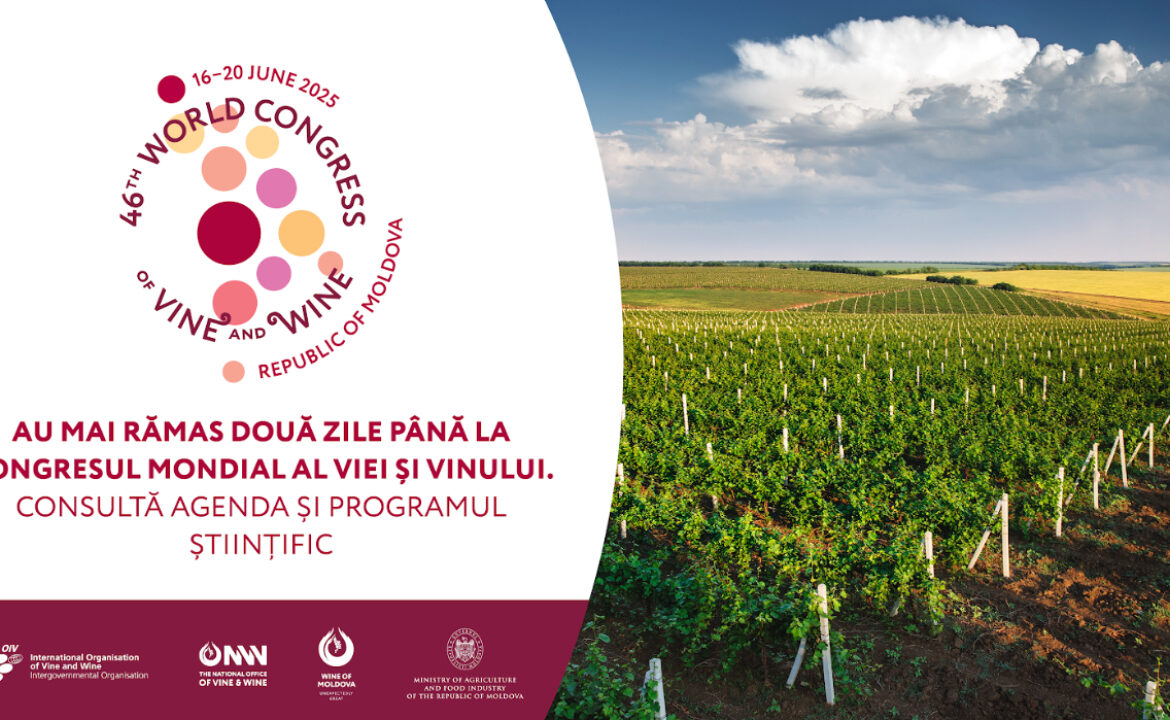 Moldova va găzdui pentru prima dată Congresul Mondial al Viei și Vinului