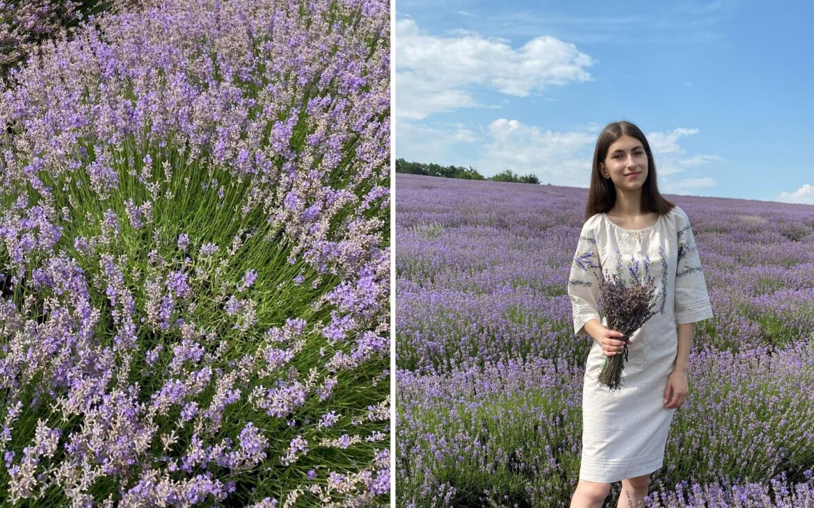 Ești gata pentru fotografii în lanurile de levănțică? Lista câmpurilor aromate din Moldova