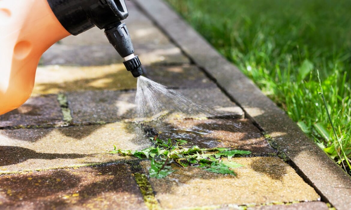 Scapă de buruieni în câteva ore cu un spray natural din doar două ingrediente