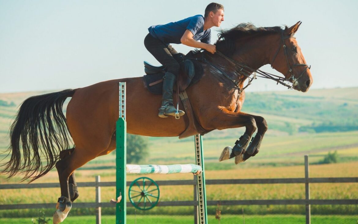 Unde poți învăța să călărești sau să practici un sport ecvestru în Moldova