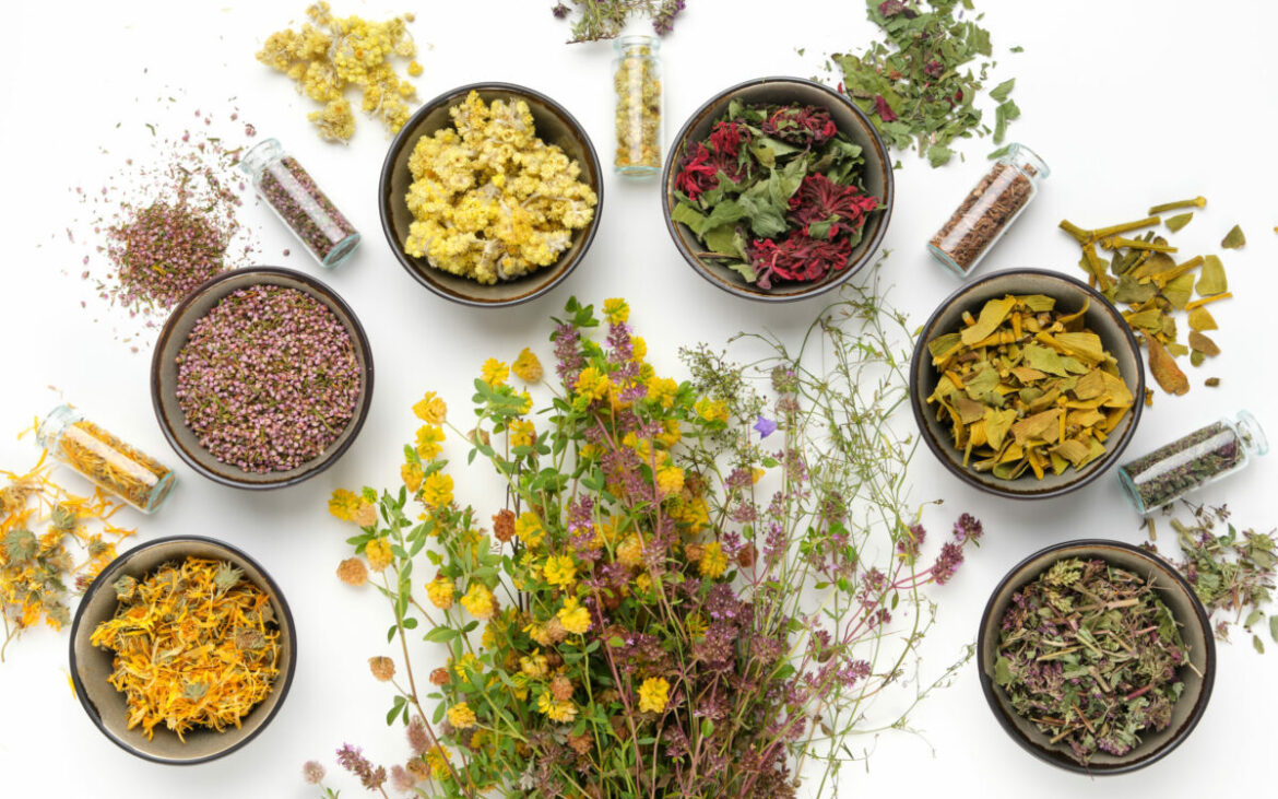 Cele mai puternice plante medicinale pentru sănătate: ce să folosești pentru detoxifiere, rinichi, memorie sau inflamații