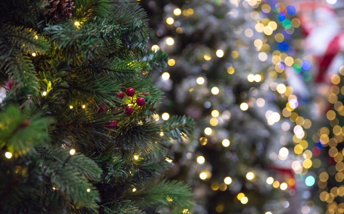 Cât a ajuns să coste un brad artificial anul acesta? Prețurile din magazine îi surprind pe cumpărători