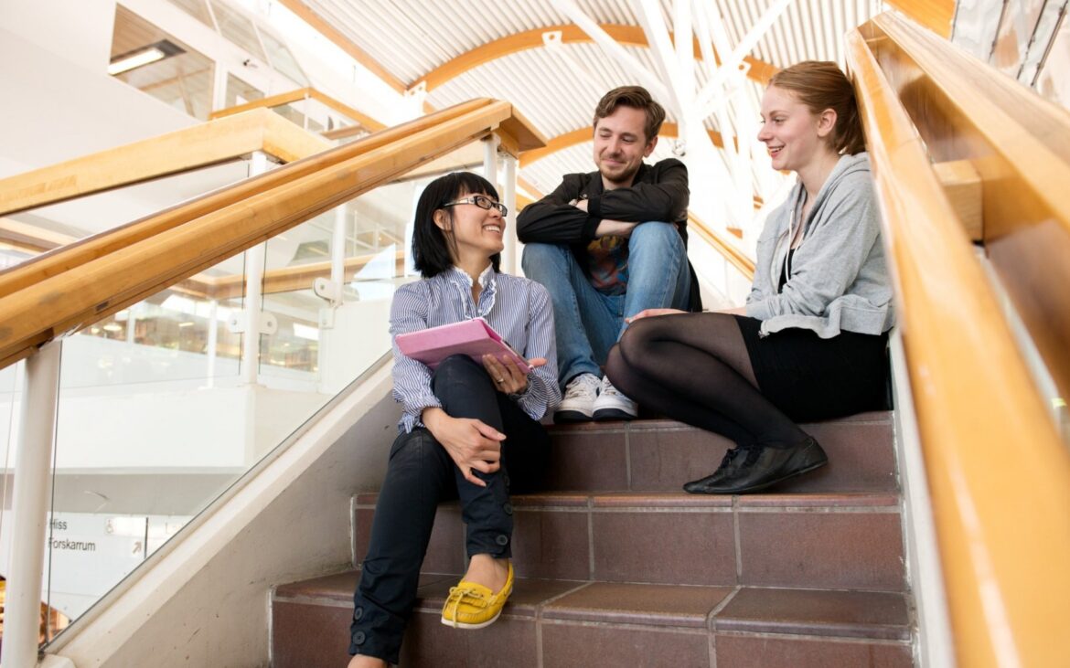 Tinerii moldoveni pot studia gratuit în Suedia pentru unul sau doi ani academici. Care sunt programele de masterat eligibile