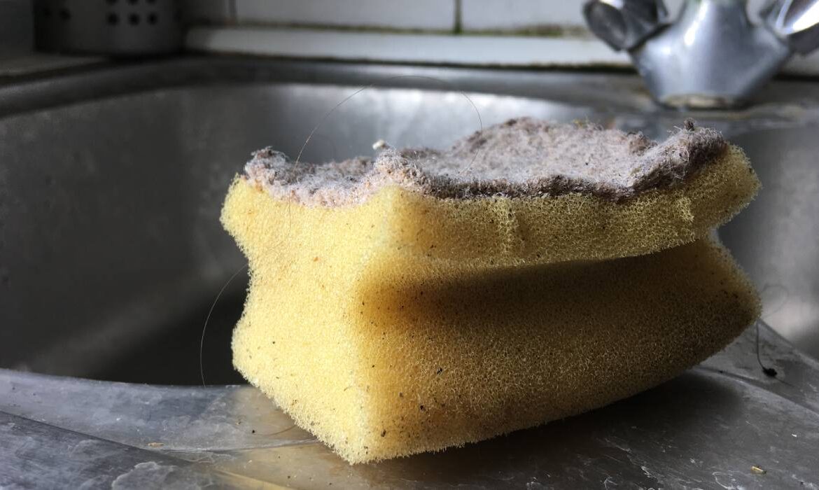 Mare atenție la aceste obiecte pe care le folosești zilnic. Sunt mai murdare decât vasul de toaletă!