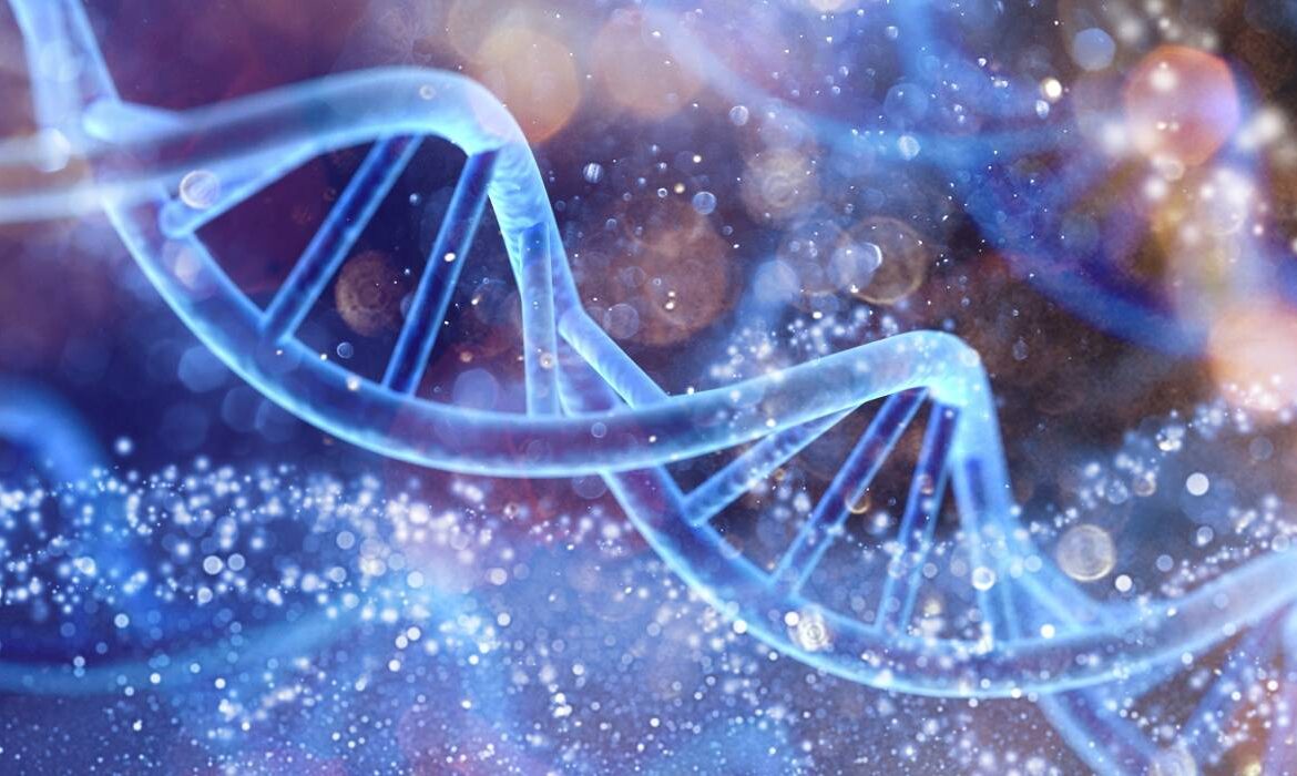 Știința confirmă că postul este un aliat real al longevității, regenerând corpul și mintea