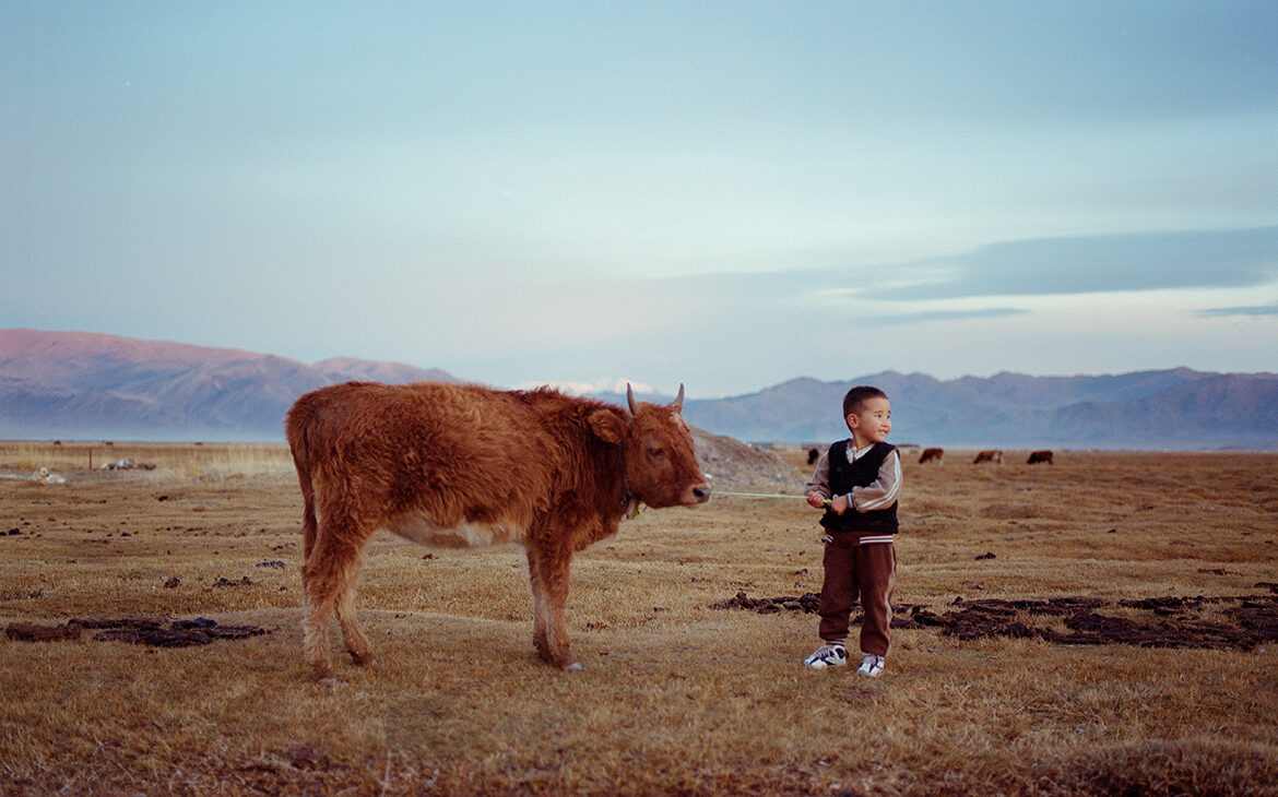 Participă gratuit la un concurs internațional de fotografie și câștigă 1.000 de dolari
