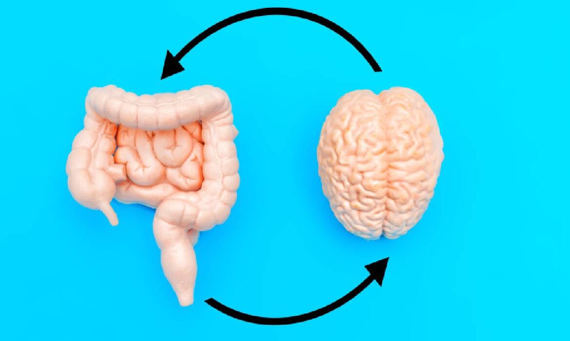 Legătura dintre intestin și sănătatea mentală