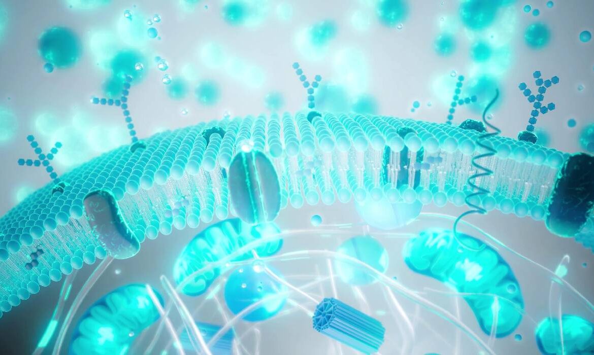 Balonare, greață, reflux după Paște? Ghid rapid de revenire digestivă