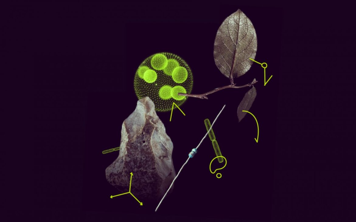 Câștigă o bursă pentru a realiza un proiect de cercetare în Europa. Tinerii doctoranzi sunt încurajați să aplice