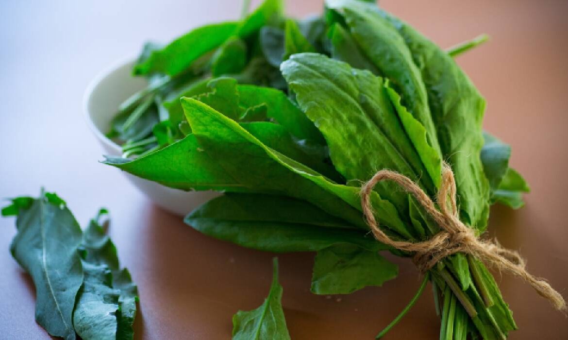 Consumul de verdețuri ar putea reduce hipertensiunea arterială