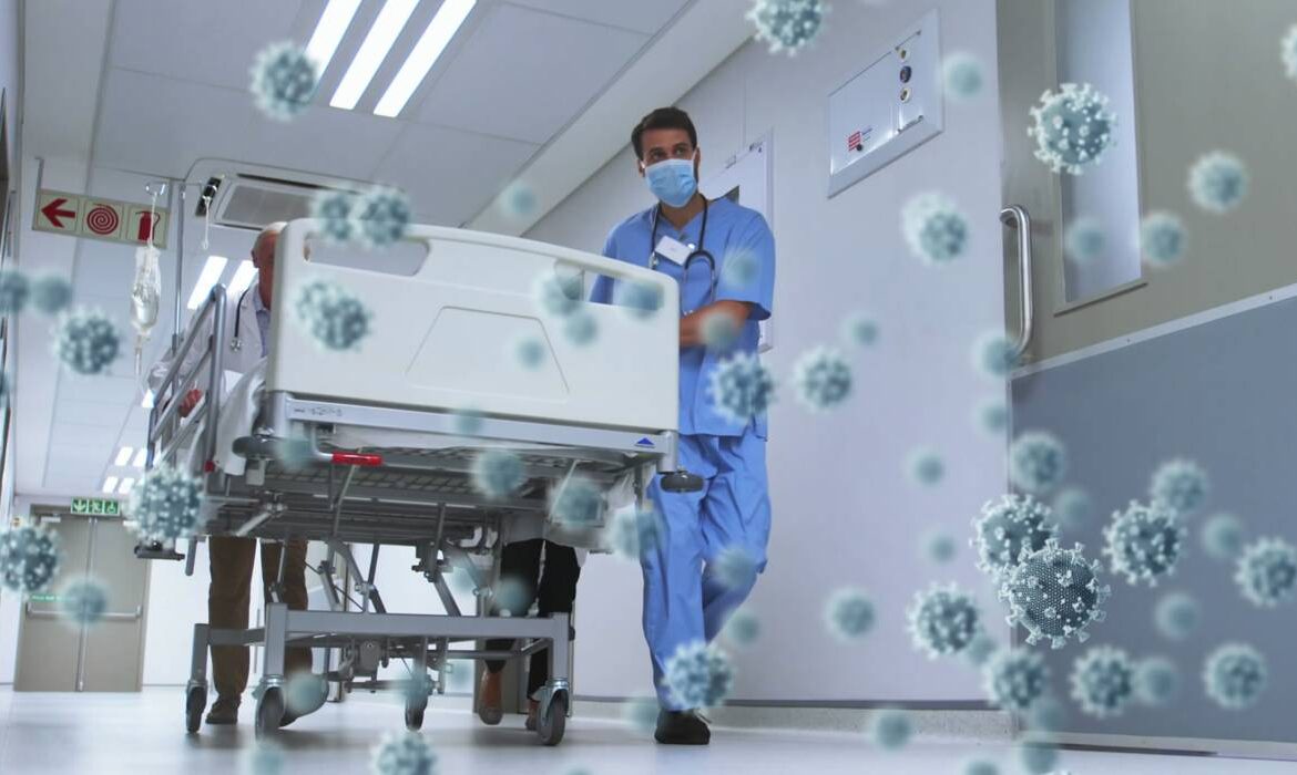 „Long-Hantavirus”? Cercetătorii analizează efectele pe termen lung ale infecției, după modelul Long Covid
