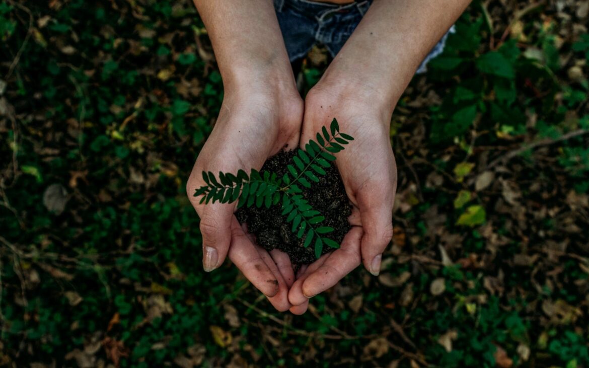 Ai între 15 și 18 ani și te preocupă schimbările climatice? Înscrie-te la un program de mediu și gândește soluții pentru comunitatea ta