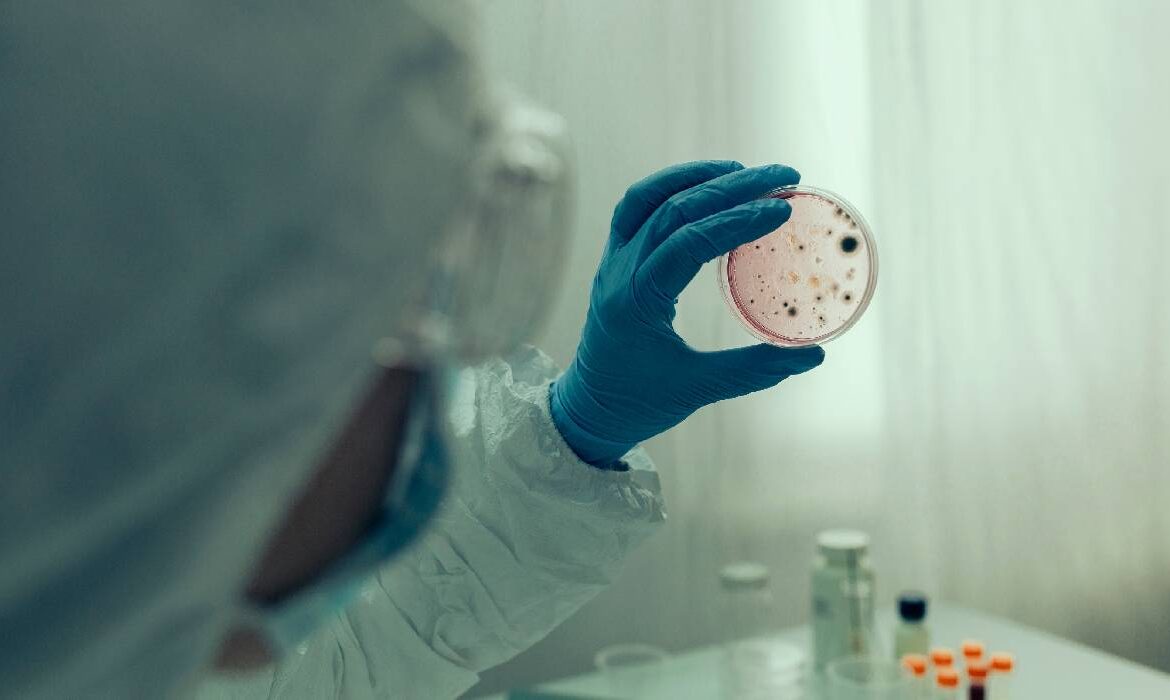 Ebola are nevoie de un răspuns rapid pentru a evita o catastrofă