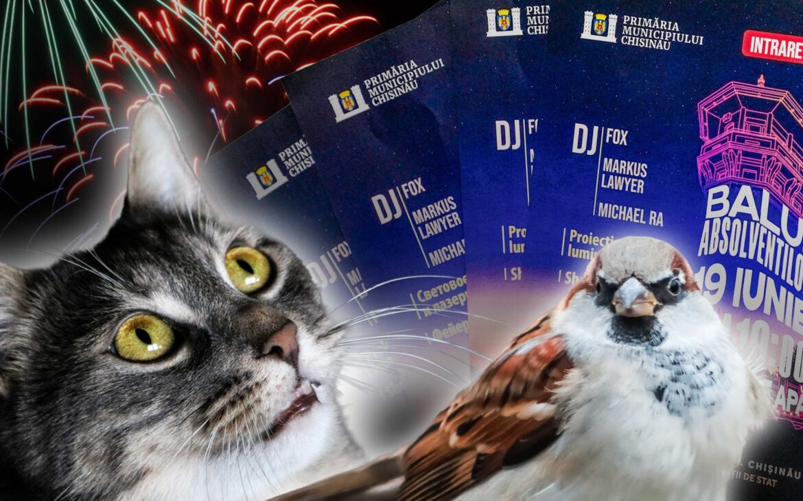 De ce animalele și păsările au de suferit din cauza artificiilor de la Balul Absolvenților, organizat de Primăria Chișinău